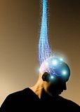 Sciam Brain